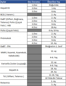 Bebeklerde Ay Ay Aşı Takvimi