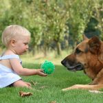 Çocuklarda Hayvan Isırmaları ve Sokmaları