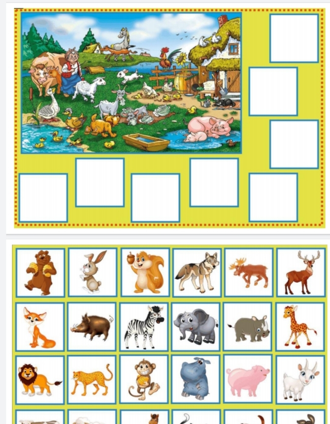 Hangi Hayvan Hangi Resimde