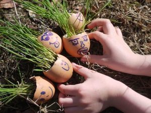 Çocuklar için Yumurta Kabuğu Aktivitesi