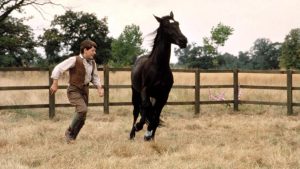 Movies About Horses