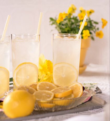 Kolay Serinletici İçecekler