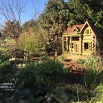 Türkiye'deki Botanik Bahçeleri